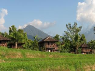 Puri Lumbung Cottages Restaurant & Spa Munduk - Munduk - 5