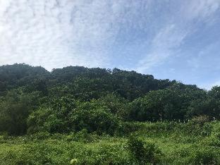THANSILA Resort - Ranong - 6
