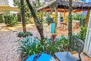 Coral Tree Inn - Cairns - 6