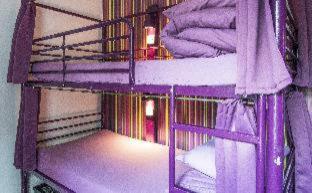 Safestay London Kensington Holland Park - 6