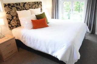 Shy Cottage and Studio - 9