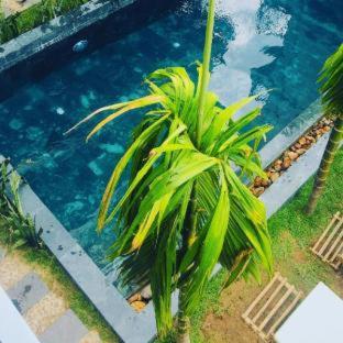 Hoi An Fairy Garden Villa - Hội An - 4