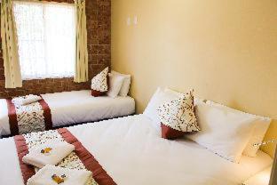 Motel 359 - Tamworth - 3