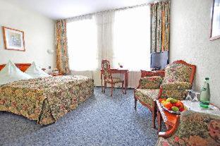 Hotel Alexandra - Plauen - 8