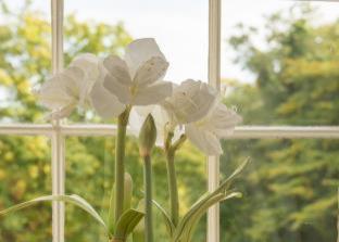 Bankton Rooms & Lodges - Livingston - 7