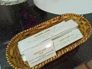 Sugar Land Villa Hotel - 4