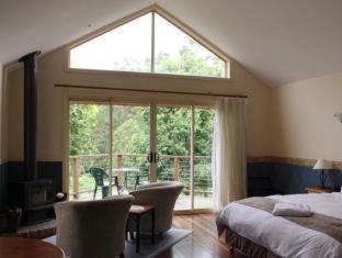 Shambala Eco Retreat - Mount Tamborine - 3