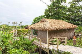 PP Erawan Palms Resort - Phi Phi Don - 1