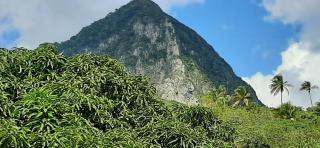 Kaye Mango - Soufrière - 3