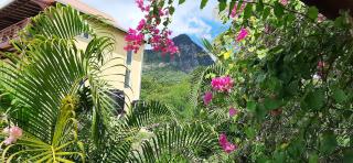 Kaye Mango - Soufrière - 2
