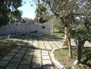 Agriturismo Baccole - Gagliano del Capo - 9