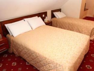 Gatwick Cambridge Hotel - 7