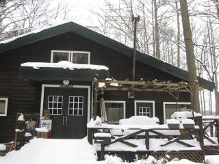 Lodge Stack Point - Narusawa - 6