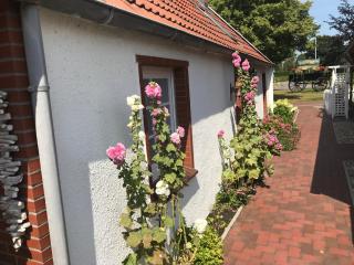 Ferienhaus Wattwurm - Rysum - 4