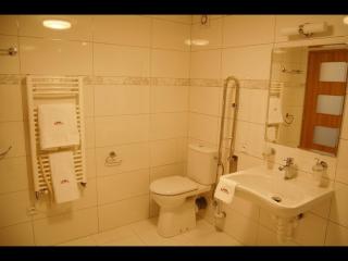 Hotel RICHTR - Frýdek-Místek - 5