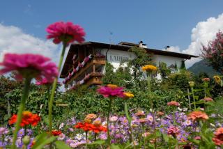 Pension Laurin - Schenna - 5