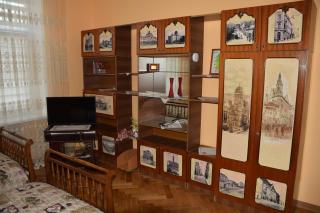 Apartment Orgelsaal - Chernivtsi - 7