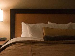 Desalis Hotel London Stansted - Elsenham - 8
