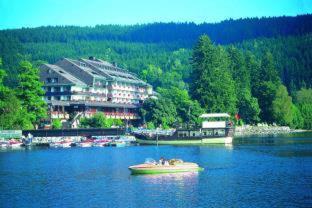Maritim Titisee Hotel - Titisee-Neustadt - 8