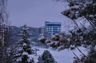 Fantastiko LUX Apartmani Zlatibor - Zlatibor - 2