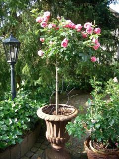 Landhaus Bad Bertrich - 1