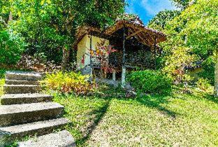 Shiralea Backpackers Resort - 1