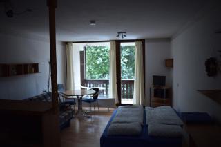 Wintersport Apartment - 2