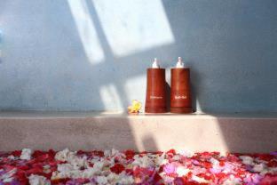 Villa Tegal Tis Ubud - 5
