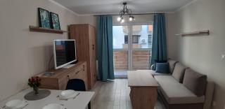 Apartament Dębowy z miejscem parkingowym - Toruń - 9