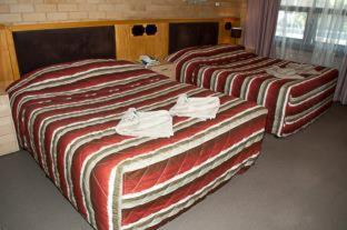 Angaston Vineyards Motel - Angaston - 6