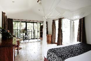 Daintree Ecolodge - Daintree - 9