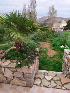 Creta guesthouse ARXONTIKO! - 3