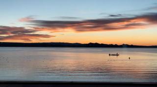 Havasu Landing Resort and Casino - Havasu Lake - 5