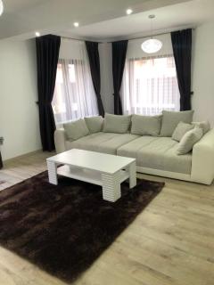 Deluxe Villa with BBQ - Şelimbăr - 8