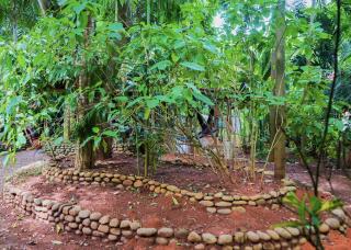 Hospedaje el Bosquecito - Uvita - 1