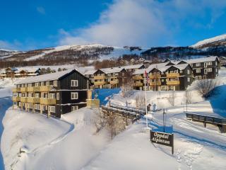 Oppdal Alpintun - Oppdal - 9