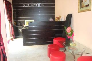Tzvetelina Palace Hotel - Dolna Banya - 4