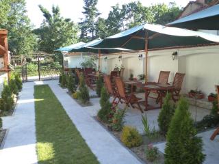 Tzvetelina Palace Hotel - Dolna Banya - 8
