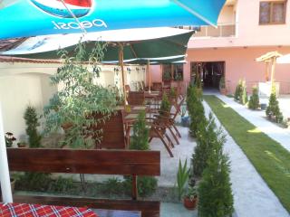 Tzvetelina Palace Hotel - Dolna Banya - 5