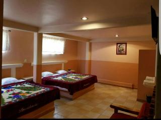 Hotel Plaza - San Martín Texmelucan de Labastida - 7
