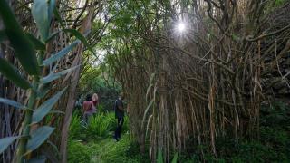 Camino Art House - 4