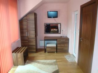 Tzvetelina Palace Hotel - Dolna Banya - 1