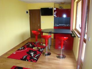 Tzvetelina Palace Hotel - Dolna Banya - 7
