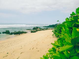 Mallika Guest House - 4