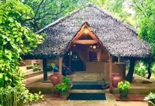 A4 Villa & Spa. - Habarana - 6
