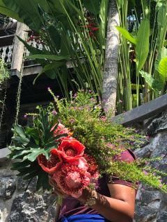 Puri Kasih Gottlieb - Ubud - 2