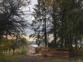 Sunrise Cabin et Sauna - Rothbach - 9