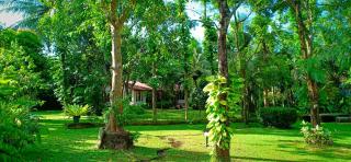 Mango House Japanese Guest House - Negombo - 6