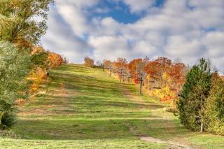 Chateau Ridge 122 - Blue Mountains - 2
