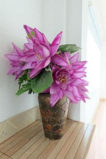 Daizy House - Chiang Mai - 1